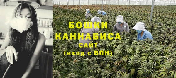 амф Аркадак