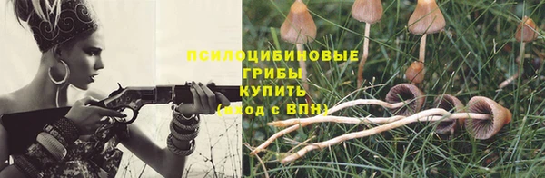 кокс Арсеньев
