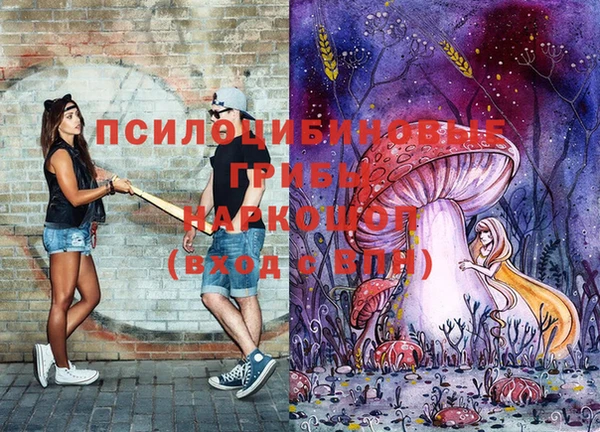кокс Арсеньев