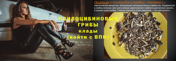 прущая мука Армянск