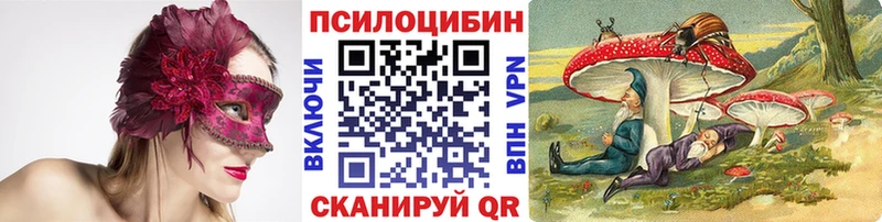 купить наркотики сайты  Татарск  Галлюциногенные грибы MAGIC MUSHROOMS 